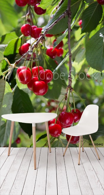 Picture of cherries on the branch